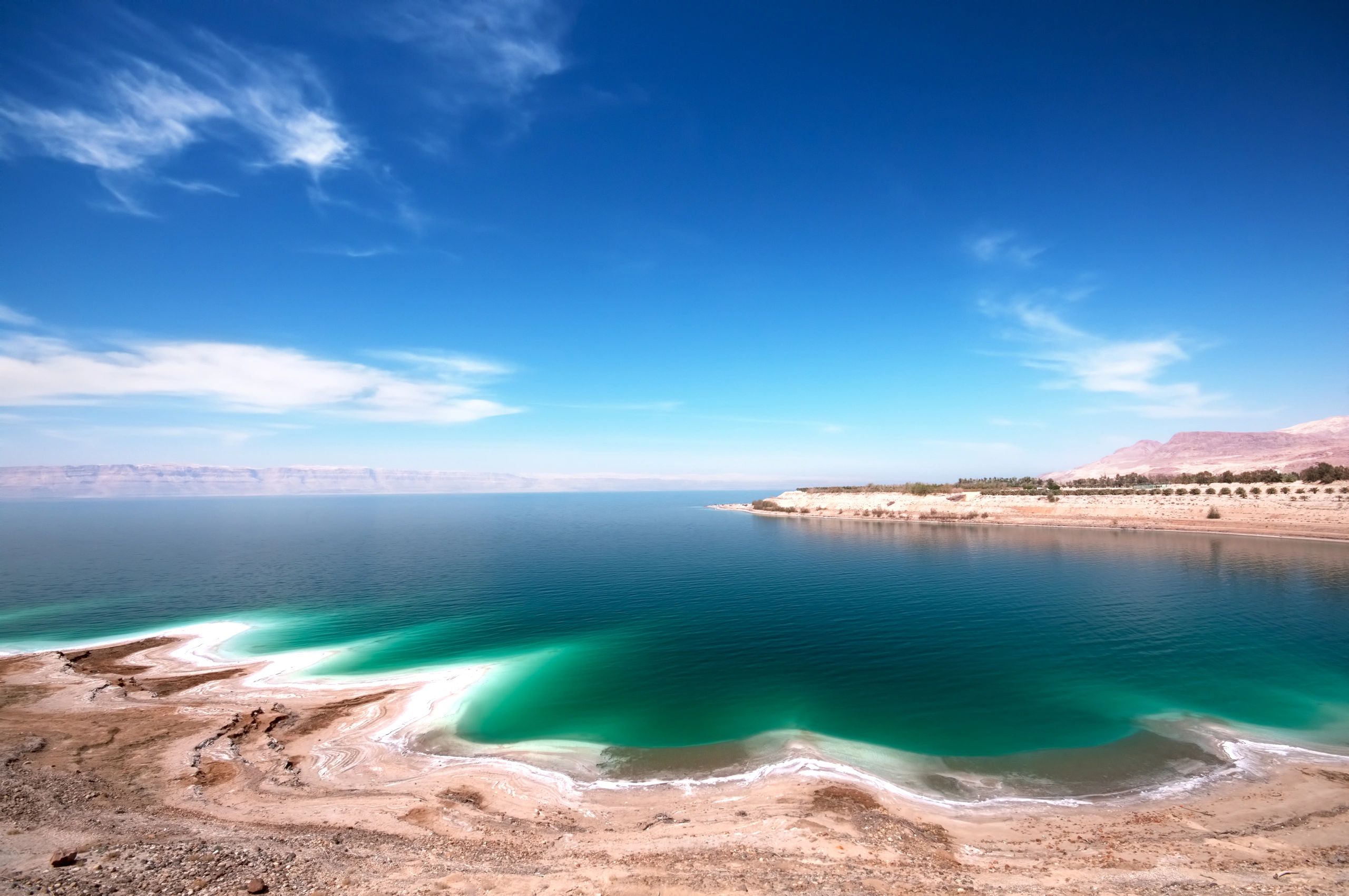 Dead Sea, Jordan - floating tourist